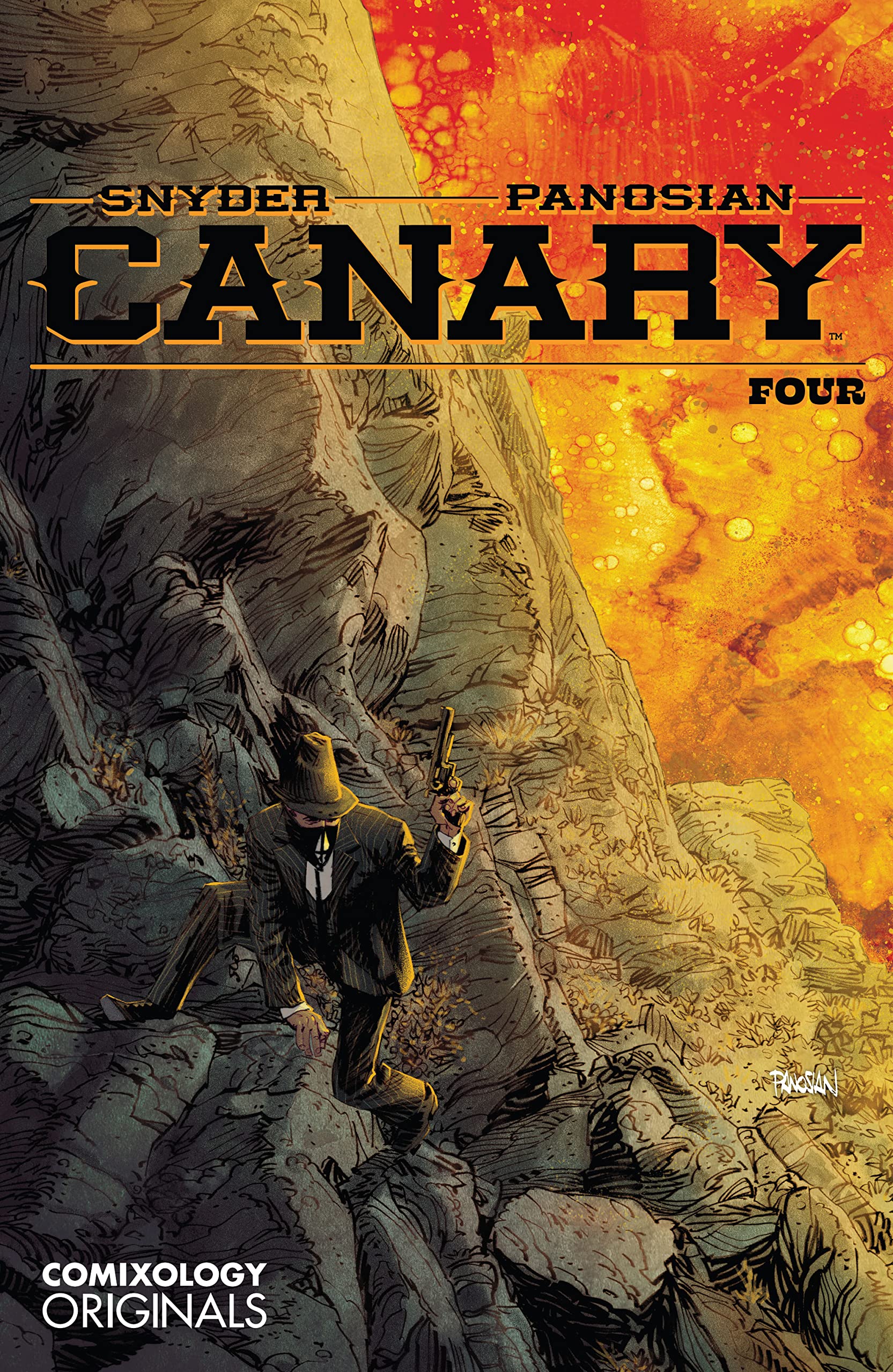 cover